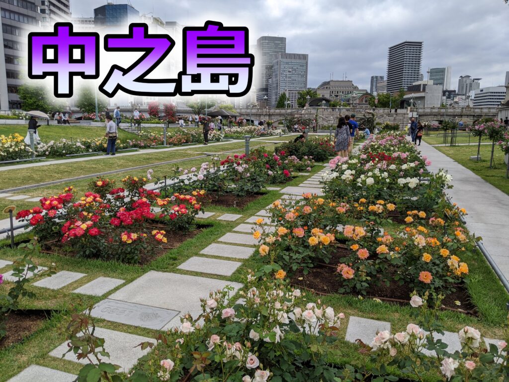 大阪城・中之島・天満橋ぶらり情報局 | 大阪市在住のtoniemonが大阪城や中之島周辺の観光スポットをお届け♪